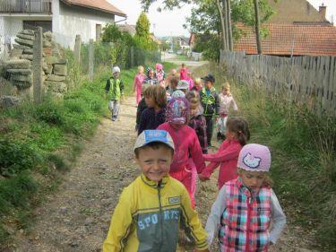 Vlet do lesa