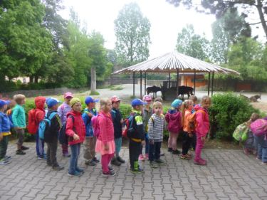 Slunka v ZOO