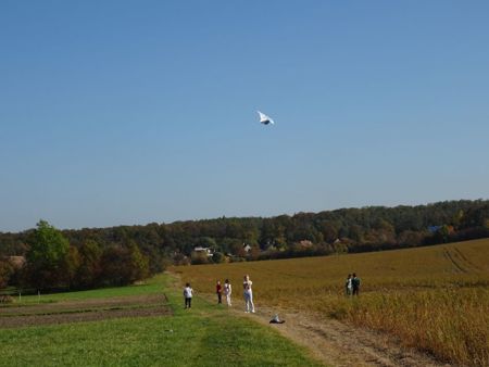 v_1050_22054.jpg