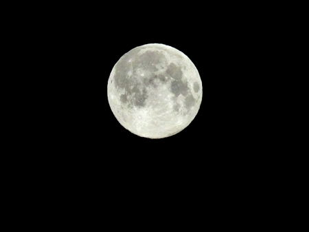 v_1126_24091.jpg