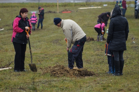 v_1067_22556.jpg