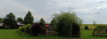 IMG_20260903_143815.jpg