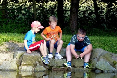 v_1139_24557.jpg