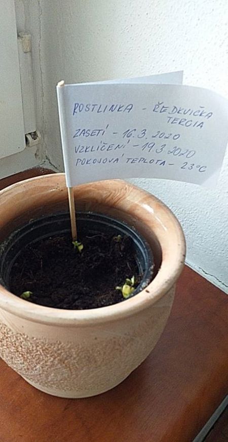 v_1125_24012.jpg