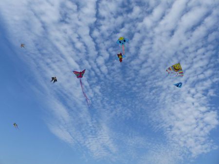 v_1050_22131.jpg