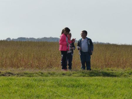 v_1050_22149.jpg