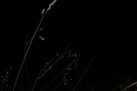 v_1059_22308.jpg