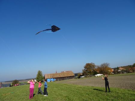 v_1050_22043.jpg