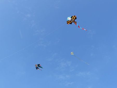 v_1050_22168.jpg