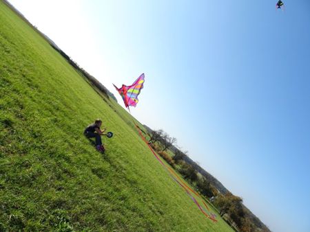 v_1050_22039.jpg