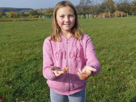 v_1050_22151.jpg