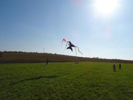 v_1050_22014.jpg