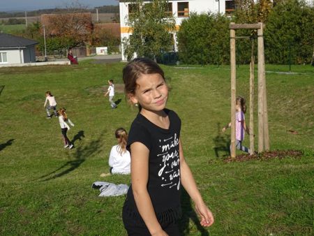 v_1050_22085.jpg