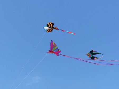 v_1050_22157.jpg