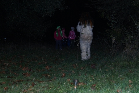 v_1059_22310.jpg