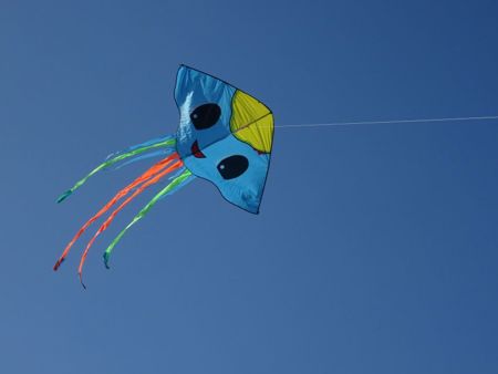v_1050_21986.jpg
