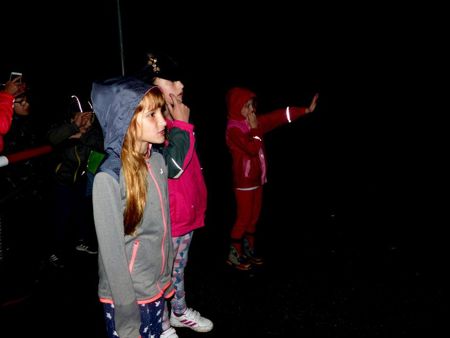v_1138_24460.jpg