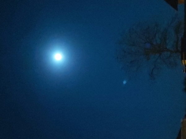 v_1126_24139.jpg
