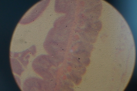 v_1144_24785.jpg