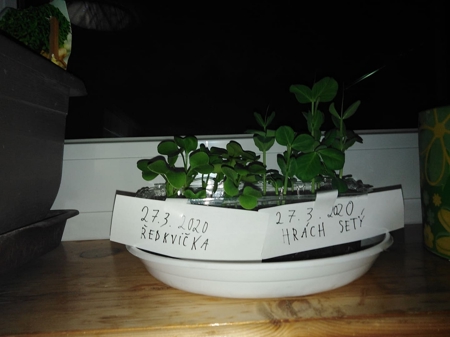 v_1125_24065.jpg