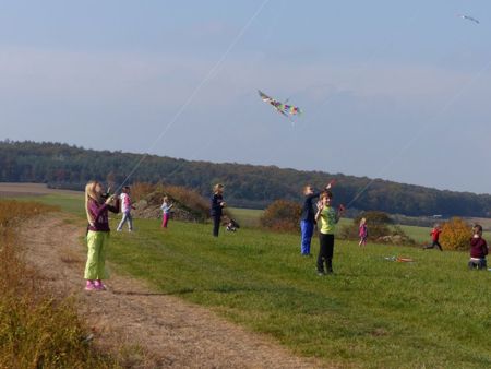 v_1050_22158.jpg