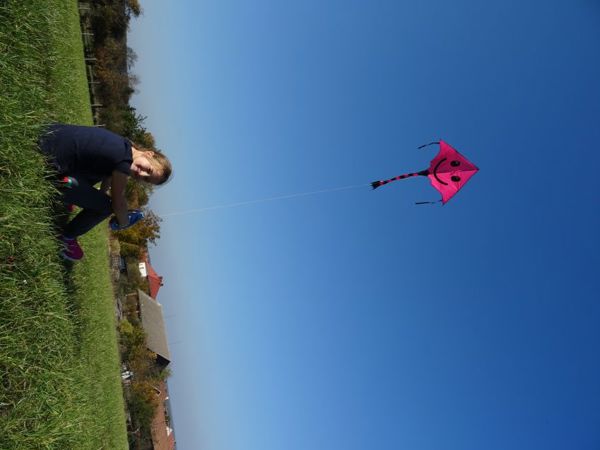 v_1050_22040.jpg