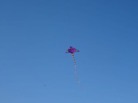 v_1050_22055.jpg